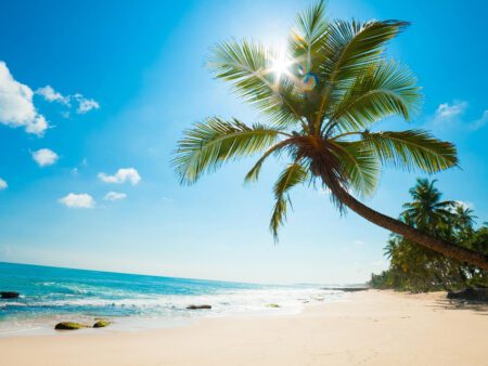 Phú Quốc - Thiên Đường Biển(4N3Đ)