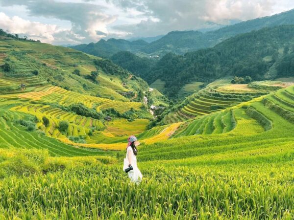 HÀ NỘI - MÙ CANG CHẢI (2 NGÀY 1 ĐÊM)