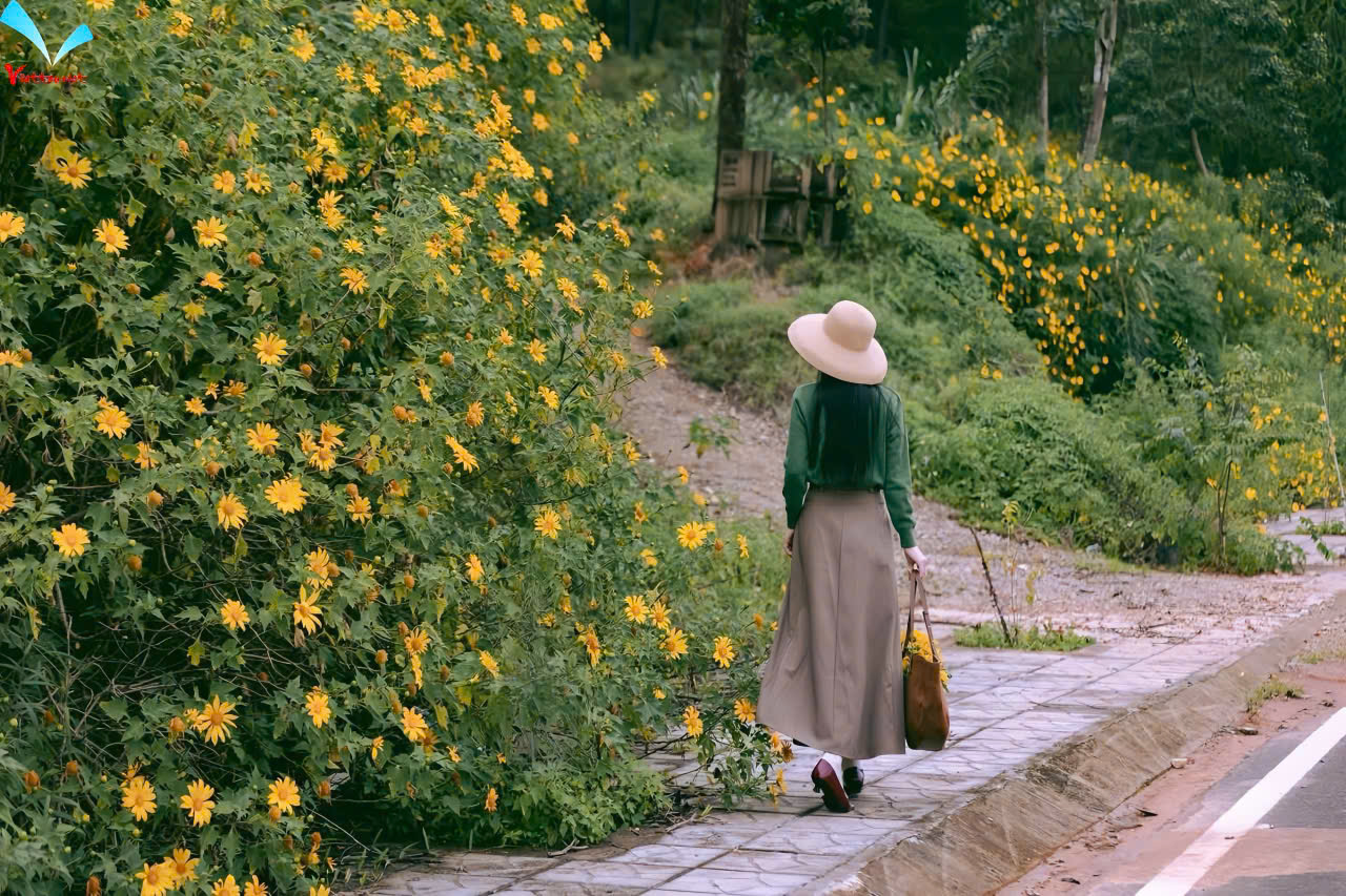 NGẮM HOA DÃ QUỲ - LÀNG CỔ ĐƯỜNG LÂM (01 NGÀY) - Ảnh 2