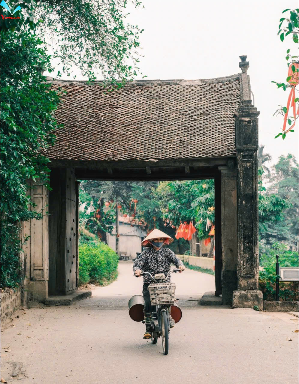 NGẮM HOA DÃ QUỲ - LÀNG CỔ ĐƯỜNG LÂM (01 NGÀY) - Ảnh 4